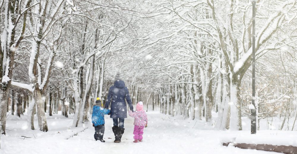 After Snowstorm Chaos, Comptroller Stringer Demands Answers From Department of Sanitation