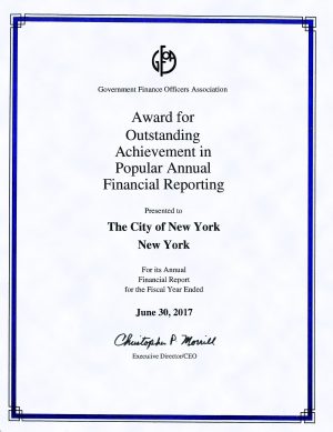 Popular Annual financial Report Award image