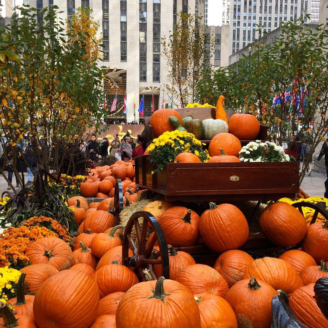Rockefeller Center’s outdoor displays change with the seasons and provide a festive atmosphere for its throngs of visitors