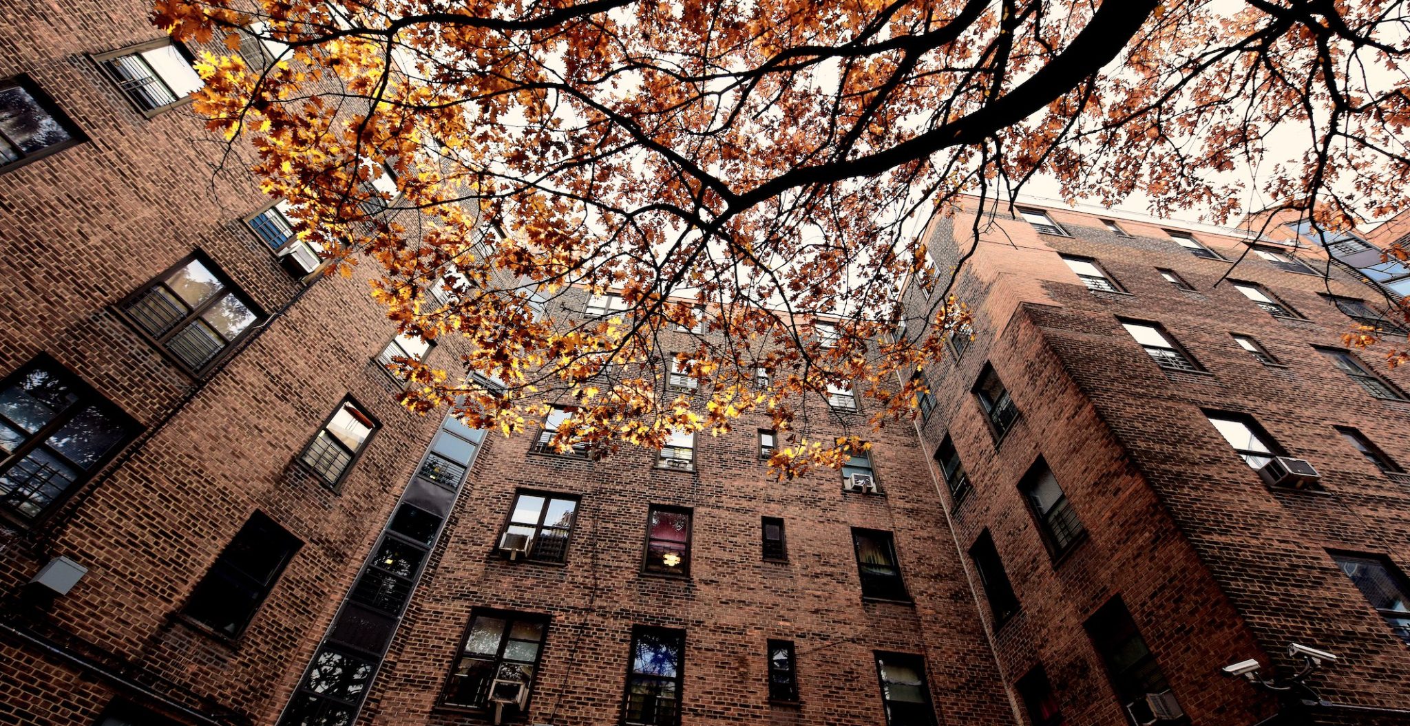 Testimony of New York City Comptroller Brad Lander before the Human