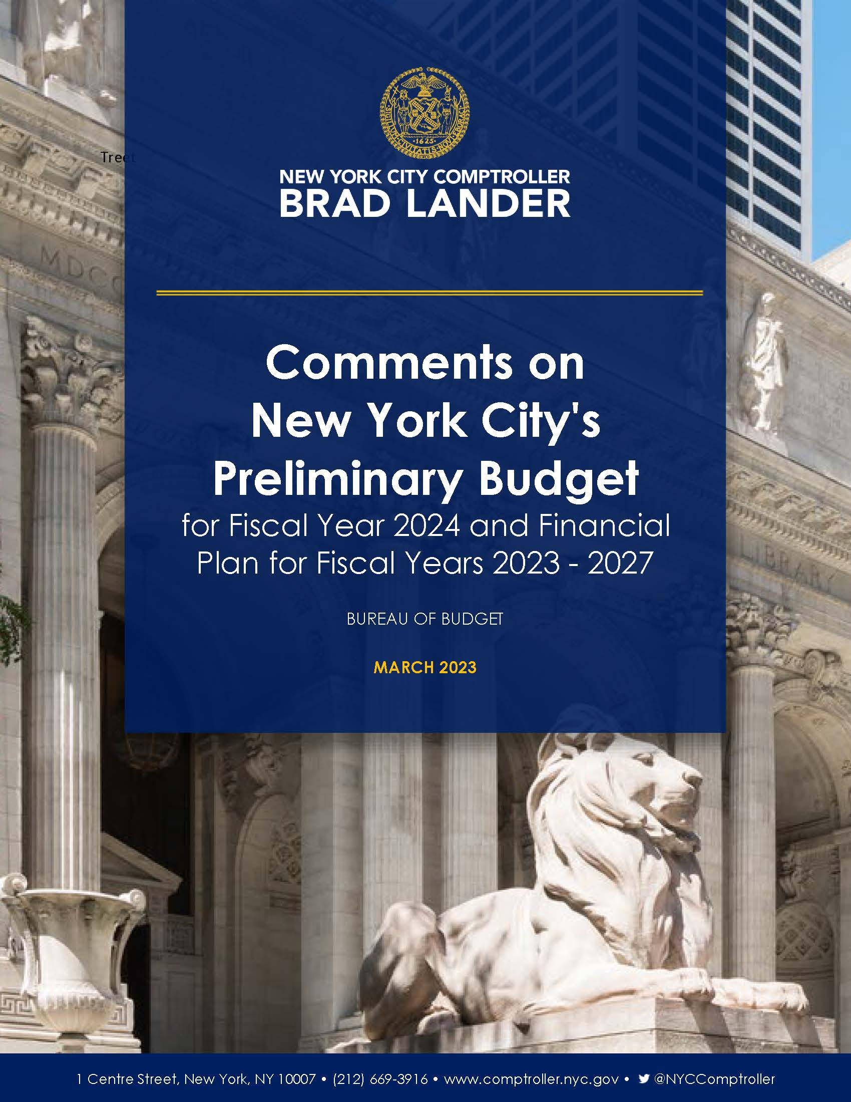 Comments on New York City's Preliminary Budget for Fiscal Year