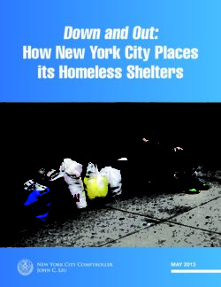 thumbnail of 20130509_NYC_ShelterSiteReport_v24_May