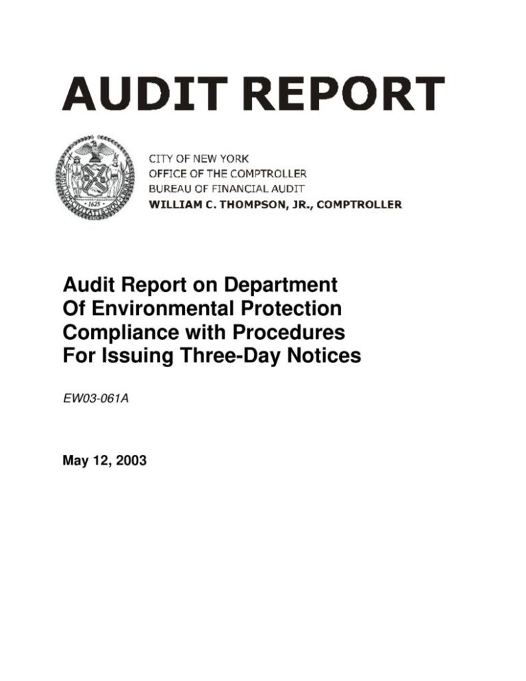 Audit issues management image
